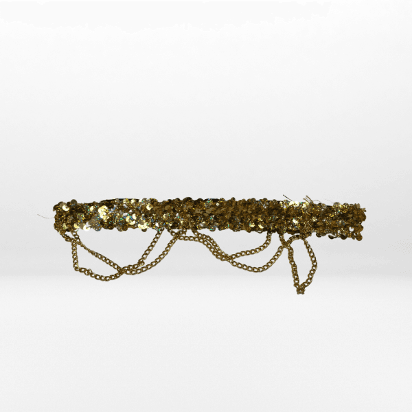 Chain Belt 5