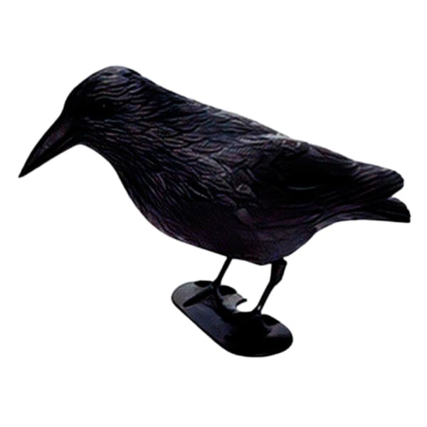 Black Crow Prop