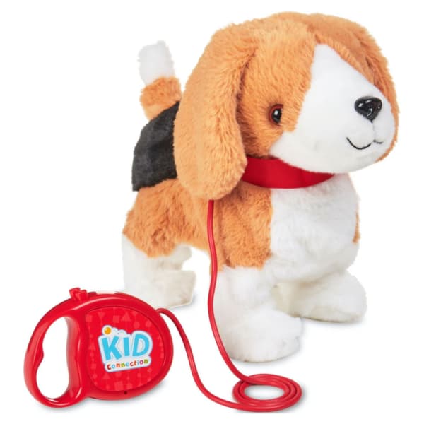 Beagle Walking Dog