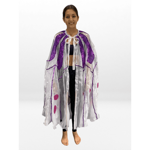 Sequin Butterfly Cape 4