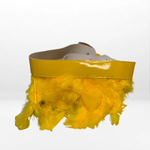Feather Belt 5