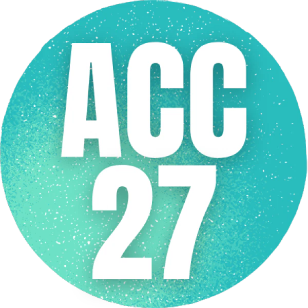 Adjustable Suspenders & Bow Tie Set 2