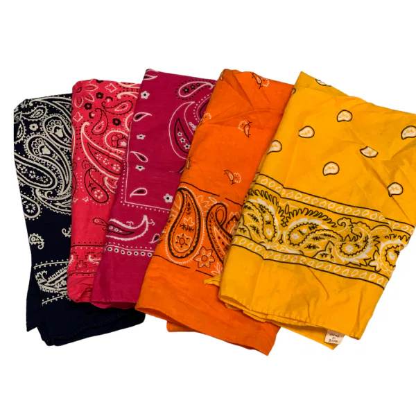Assorted Bandanas 27