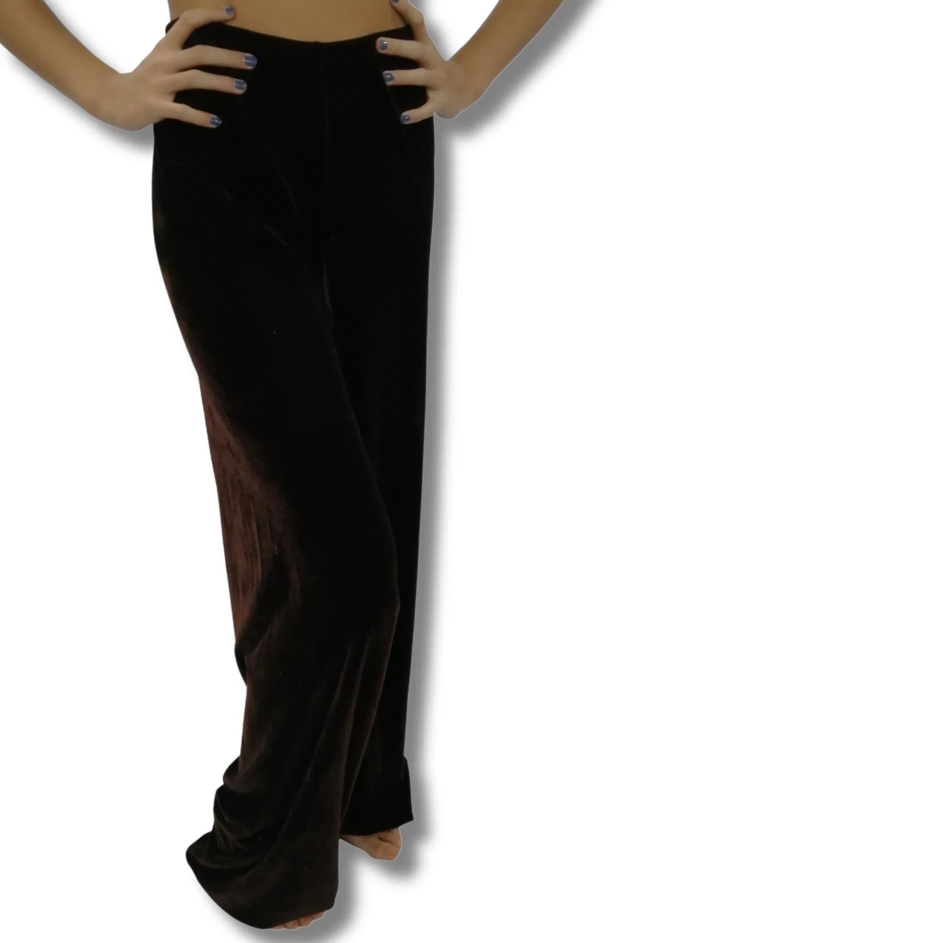 Brown Velvet Pants 6 Brown Velvet Pants 6