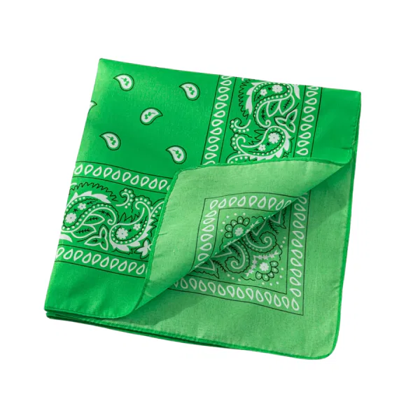 Bandana – Light Green Paisley 5