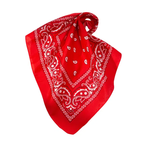 Bandana – Red Paisley 5