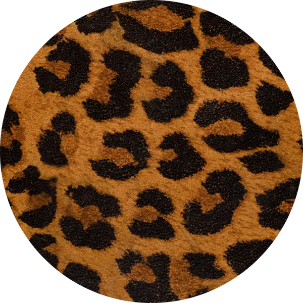 “Cheetah” 5 “Cheetah” 5