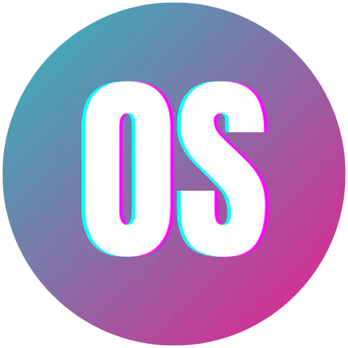 Black Belly Dancing Skirt 6