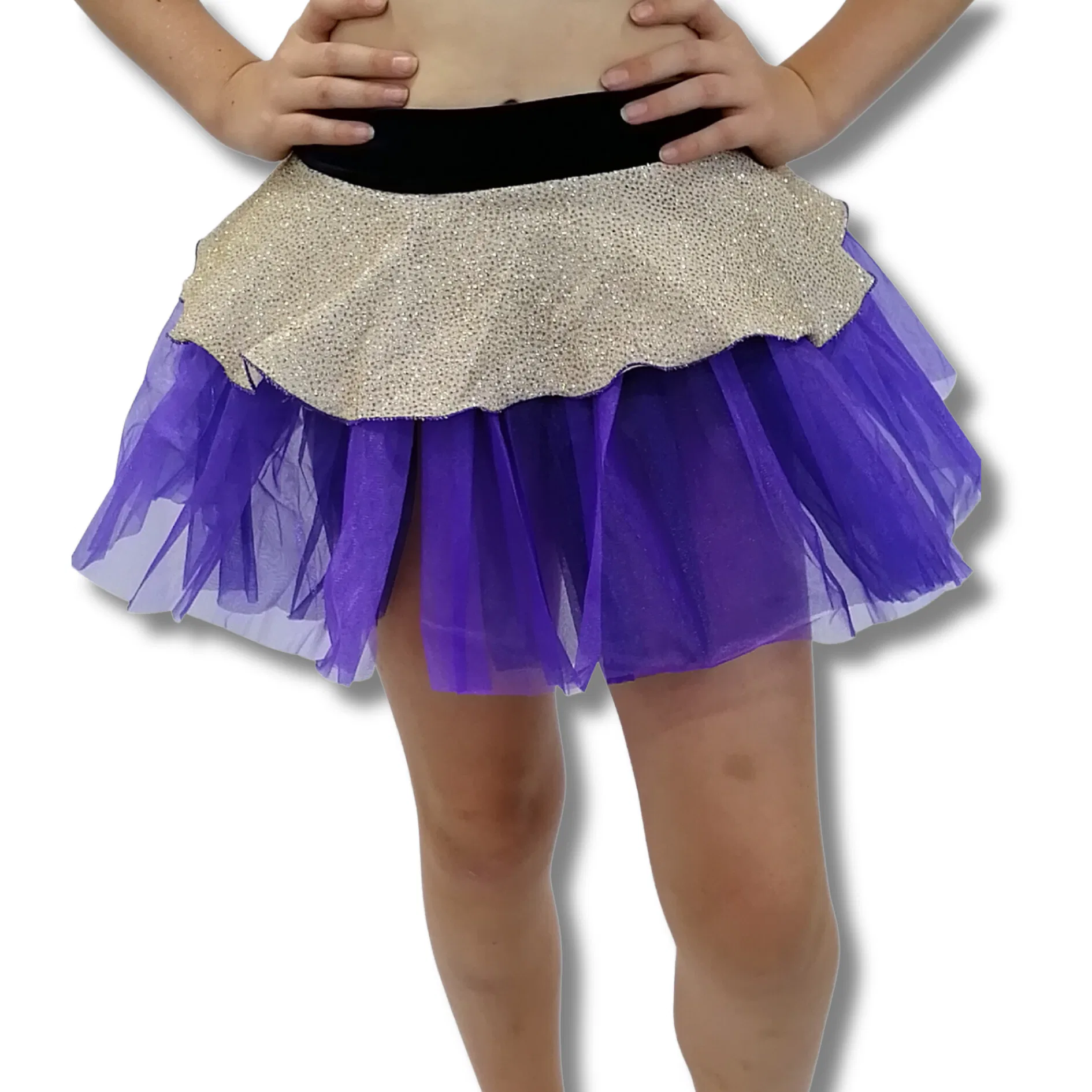Purple and Gold Skirt 7 Purple and Gold Skirt 7
