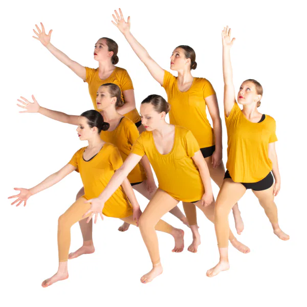 Mustard Yellow T-Shirts 9