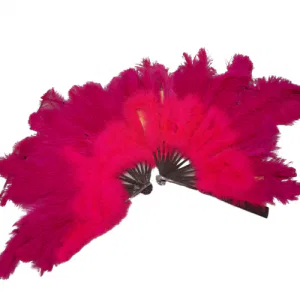 Feather Fan 7