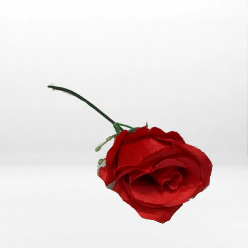 Roses on Stem 5 Roses on Stem 5